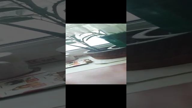 Отдых