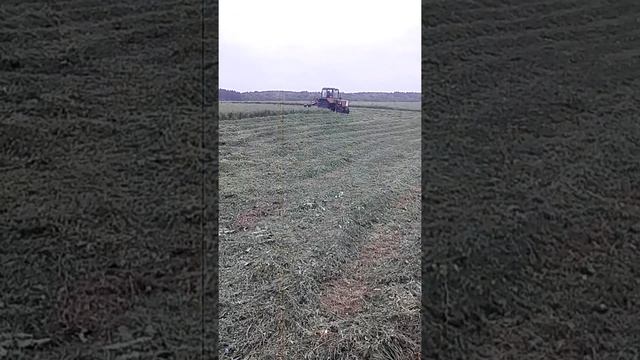 Косилка виракс на т25 смотреть онлайн