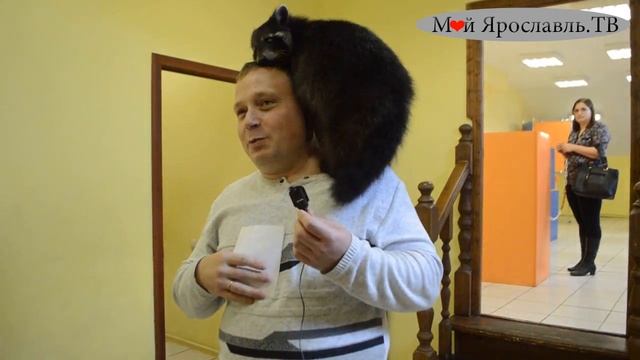 Музею Эйнштейна 3 года! Ярославль! смотреть онлайн