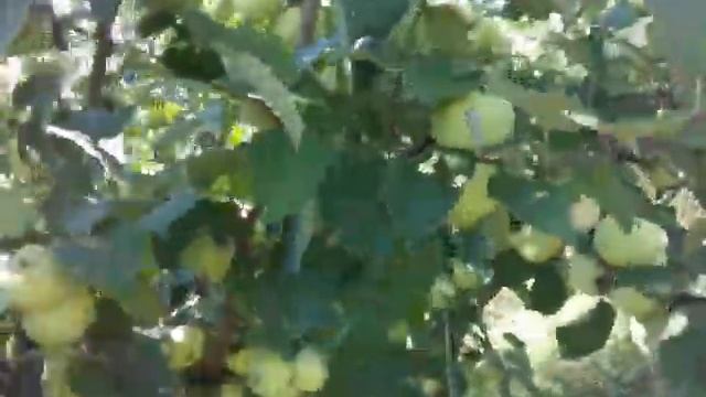 Строительная Стратегия