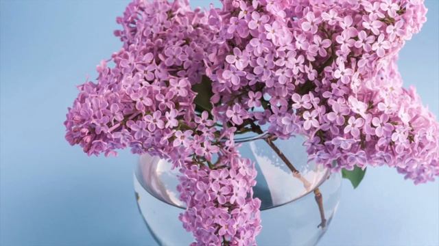 Как защитится от сглаза и зависти на работе