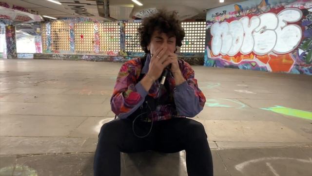 Moses Concas - Lost in a skatepark - Harmonica & beatbox смотреть онлайн
