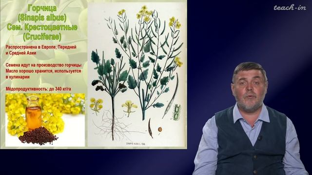 Чуб В.В. - Молекулы в пищевых цепях:от растений до человека - 9. Масличные и орехоплодные растения смотреть онлайн