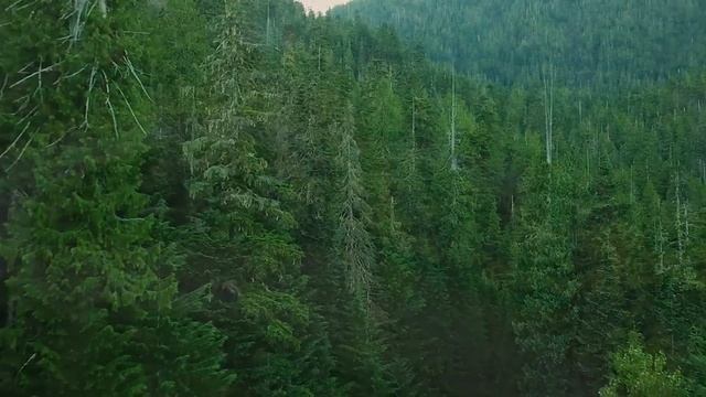 В КАКОМ ГОДУ ПРИДЁТ ДАДЖАЛЬ?