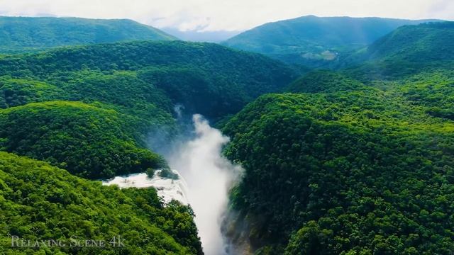 ANIMALS OF AMAZON 8K(60 FPS) - WILDLIFE IN AMAZON JUNGLE - INSPIRING CINEMATIC смотреть онлайн