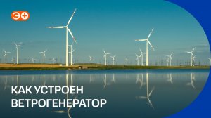 Как ветер превращается в электричество, и почему он еще не заменил остальные источники энергии?