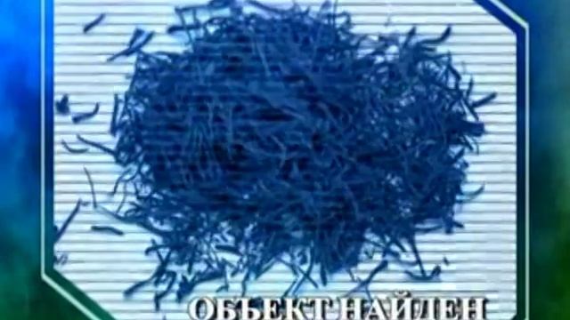 Биология 28. Аппетит животных. Шафран. Малая панда — Академия занимательных наук смотреть онлайн