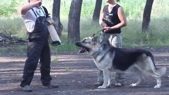 Выставка ПК, г.Челябинск 17.08.13. Ласковый Май смотреть онлайн