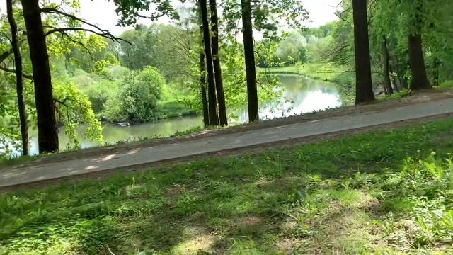 Завораживают пением. Звуки природы в парке Дрозды... смотреть онлайн