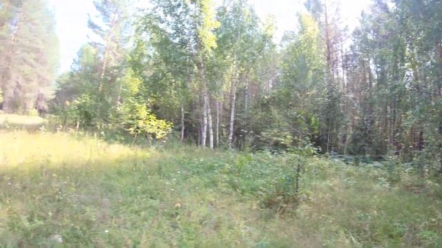 #Коп металлолома. В поисках двух старых бараков в тайге. смотреть онлайн