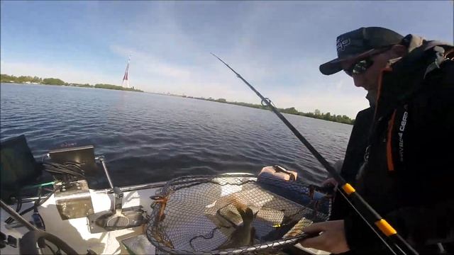 Ловля #ЩУКИ троллингом. #RapalaTailDancer. #fishing #fivefishinglv