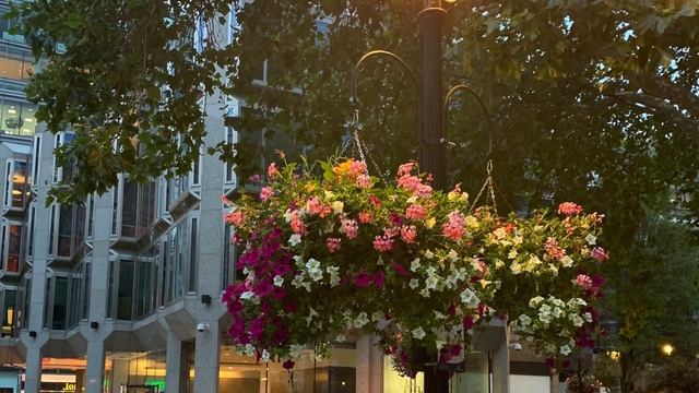 Outside London's Victoria Station, Westminster Cathedral and The Nova Building. смотреть онлайн