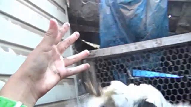 Замедленная съёмка смотреть онлайн