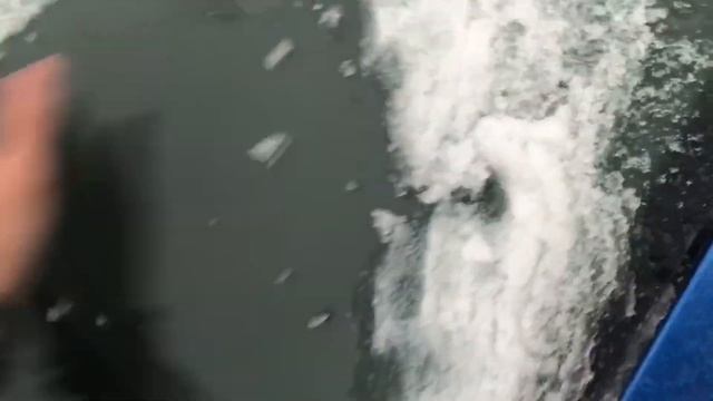 Немецские и Шведские Авто из Литвы. Вильнюс. Декабрь 2021