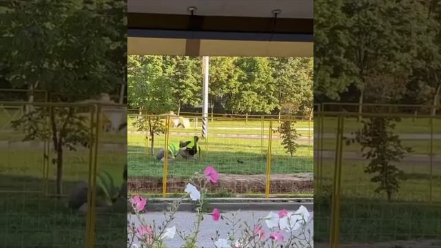 Когда рабочий день начинается так