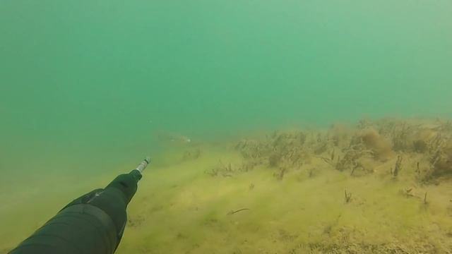 ПОДВОДНАЯ ОХОТА # САЗАН-КУТУМ-КАРАСЬ-КЕФАЛЬ..... смотреть онлайн