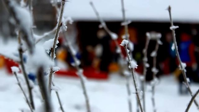 Парк культуры и отдыха г. Северодвинск смотреть онлайн