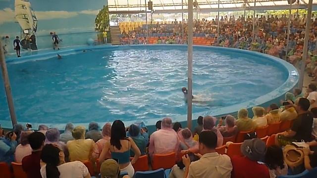 Пхукет Дельфинарий смотреть онлайн