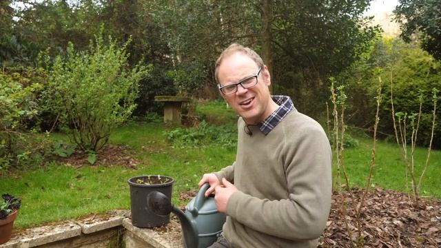 Dirt CHEAP Tricks for an Abundant Garden ? смотреть онлайн