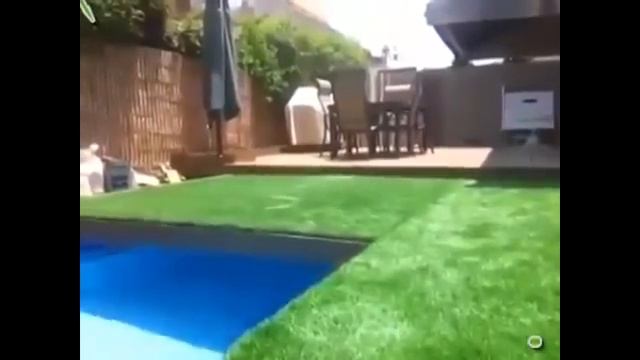 Swimming Pool Or Lawn ??? Бассейн или газон