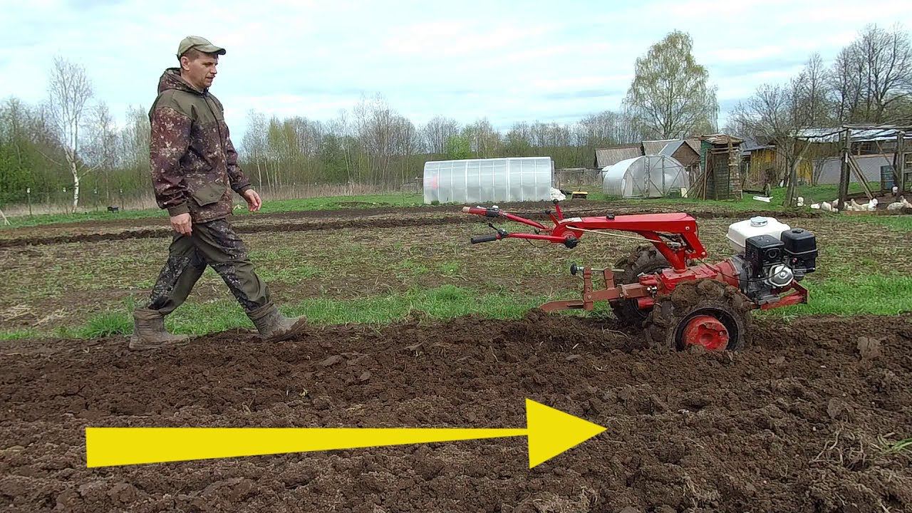 Мотоблок мтз Беларус пашет САМ и работа стала в удовольствие! смотреть онлайн