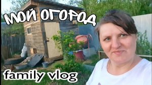 Небольшой обзор моего огорода//Рассада от сестры