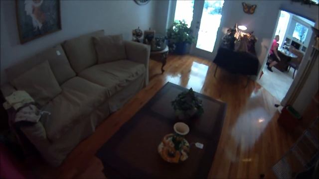 Распродажа в доме перед переездом. Флорида - Орландо. Estate Sale, Orlando.