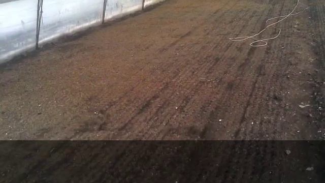 Вакуумная сеялка точного высева смотреть онлайн