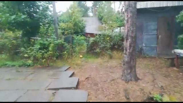 Многодетные | Курьерские будни | НЕ говори "Гоп" | Дневник жизни 21 сентября 2019 смотреть онлайн