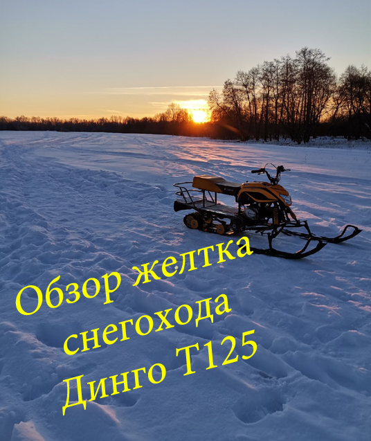 Обзор Снегохода Динго Т125