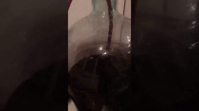 Заливка вина в дубовую бочку смотреть онлайн