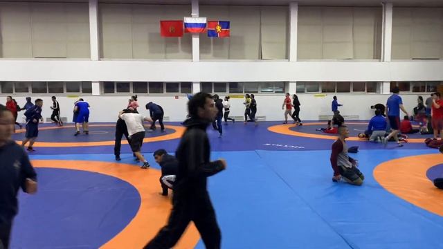 Полный зал борцов в Красноярске смотреть онлайн