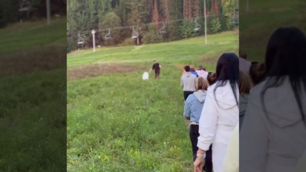 Тимбилдинг