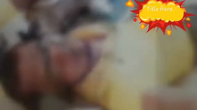 Ma jalara .. смотреть онлайн