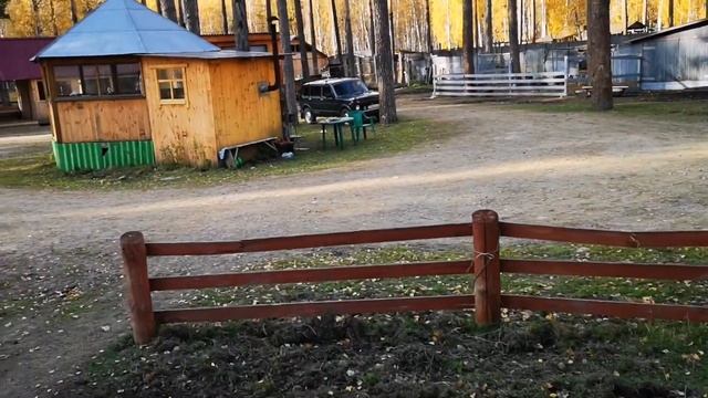 Сысертское Озеро. Оленья ферма. Страусы Нанду. смотреть онлайн