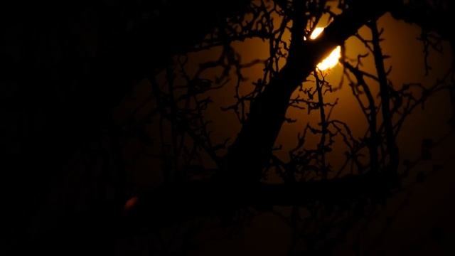 БЕЗРАЗЛИЧИЕ в ОТНОШЕНИЯХ с ЖЕНЩИНОЙ | ПОЧЕМУ ЖЕНЩИНАМ интересны МУЖЧИНЫ, КОТОРЫМ ВСЕ РАВНО на НИХ? смотреть онлайн