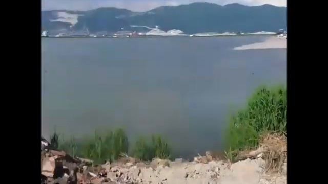 В Новороссийске сваливают строительный мусор вблизи пляжа Алексино