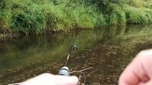 Ловля хариуса, на ультра лайт, на таëжной речке, на блесну!!!