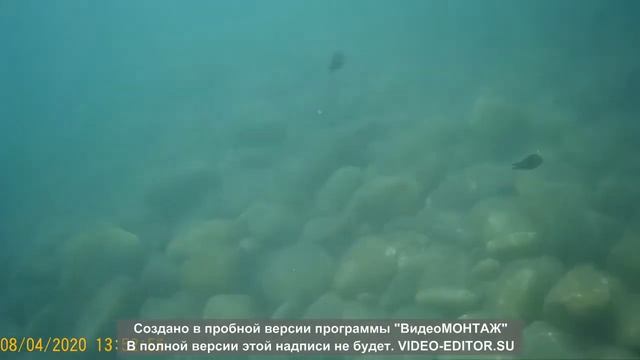 Видео снятое на экшн камеру SJCAM SJ4000