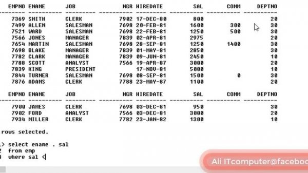 oracle SQL plus database T chap (1,2,3) داتەبەیس مایسکوێڵ چاپتەری