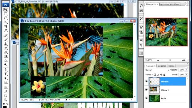 formation photoshop cs3 смотреть онлайн