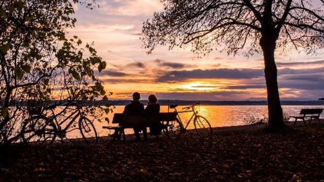 Relaxing Healing Music | Soothing Healing Music | piano music #relaxation смотреть онлайн