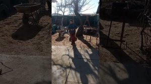 Учу прыгать на кузнечике