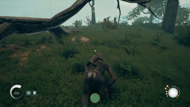 Халявные 6 Генетических Фиксаций ∎ Ancestors The Humankind Odyssey прохождение #20 смотреть онлайн