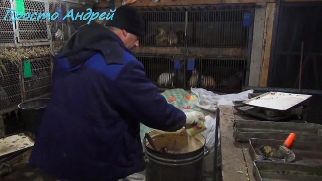 Как я готовлю мешанку для своих нутрий смотреть онлайн