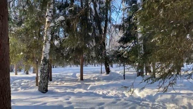 Мороз и солнце… и белки | Frost and sun... and squirrels смотреть онлайн