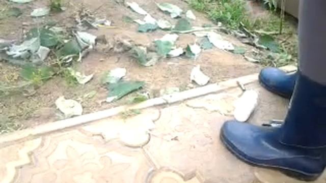 Как сделать лук. смотреть онлайн