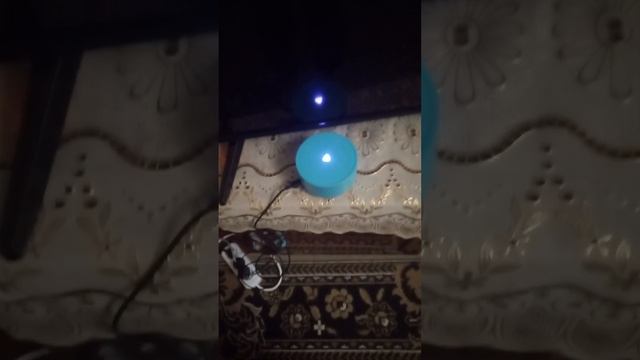 Я не знал что Алиса знает Егорика! смотреть онлайн