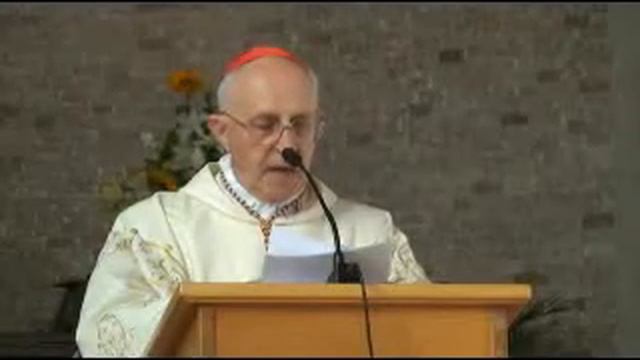 Mass With Cardinal Fernando Filoni смотреть онлайн