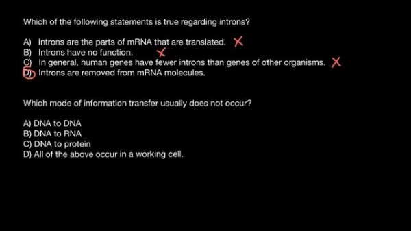 Does introns have function or not?